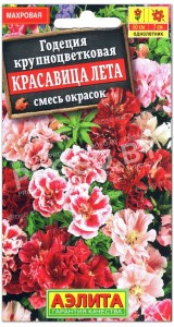 Годеция крупноцветковая Красавица лета, смесь