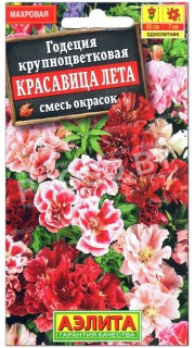 Годеция крупноцветковая Красавица лета, смесь