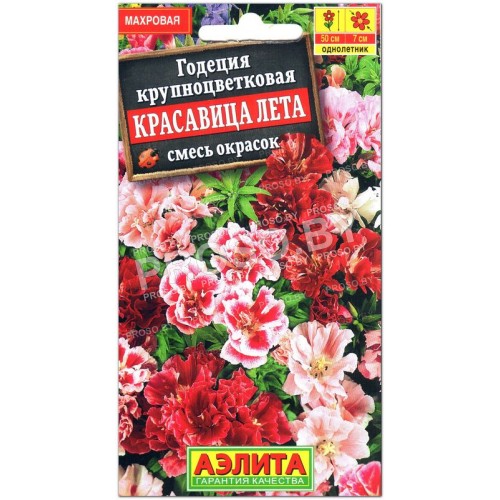 Годеция крупноцветковая Красавица лета, смесь