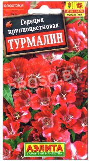 Годеция крупноцветковая Турмалин