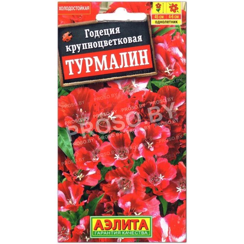 Годеция крупноцветковая Турмалин