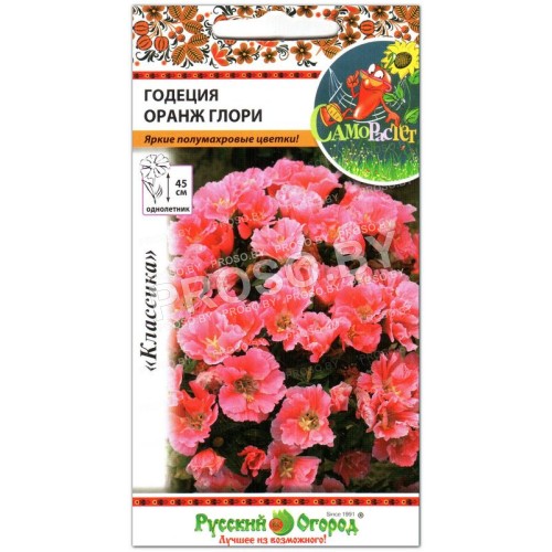 Годеция Оранж Глори-1