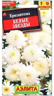 Хризантема Белые звезды