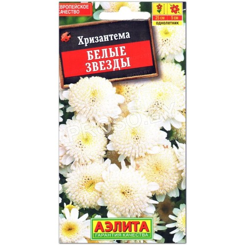Хризантема Белые звезды