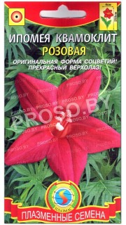 Ипомея квамоклит Розовая
