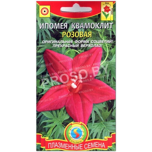 Ипомея квамоклит Розовая