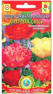 Эшшольция калифорнийская Махровая смесь