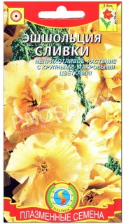 Эшшольция Сливки