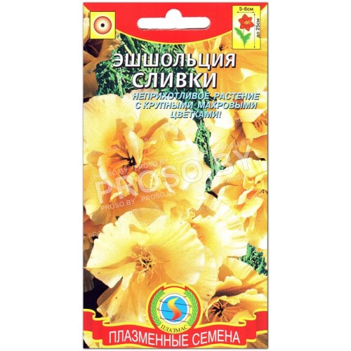 Эшшольция Сливки