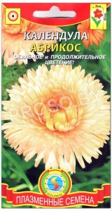 Календула Абрикос