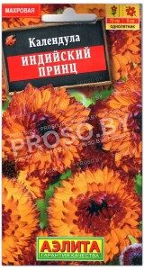 Календула Индийский принц