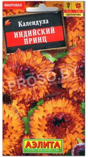 Календула Индийский принц