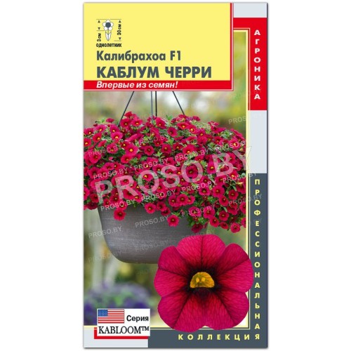 Калибрахоа Каблум черри F1
