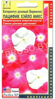 Катарантус розовый Пацифик хэйло микс