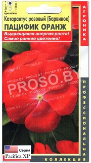 Катарантус розовый Пацифик оранж