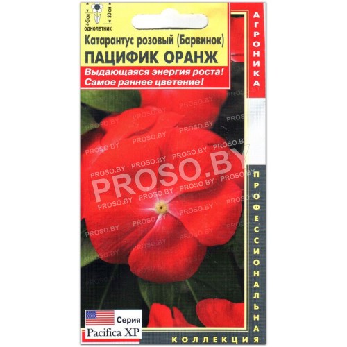 Катарантус розовый Пацифик оранж