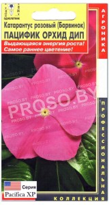 Катарантус розовый Пацифик орхид дип