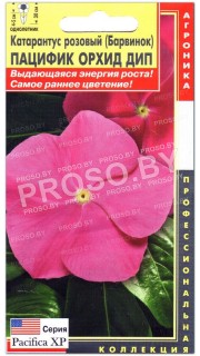 Катарантус розовый Пацифик орхид дип