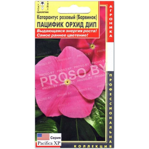Катарантус розовый Пацифик орхид дип