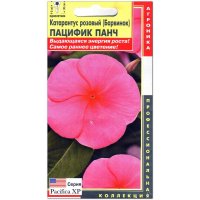 Катарантус розовый Пацифик панч