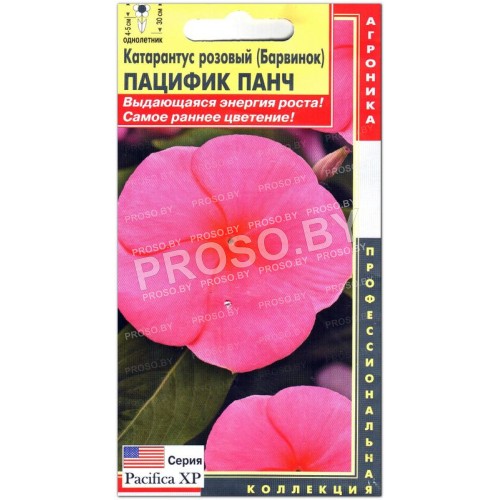 Катарантус розовый Пацифик панч