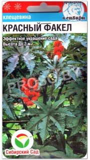 Клещевина Красный факел