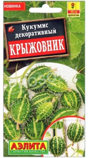 Кукумис декоративный Крыжовник