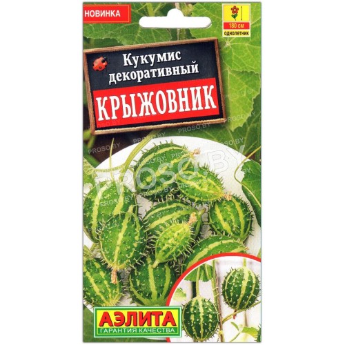 Кукумис декоративный Крыжовник