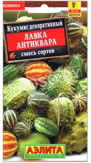 Кукумис декоративный Лавка антиквара, смесь