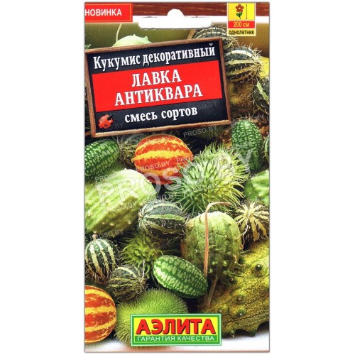 Кукумис декоративный Лавка антиквара, смесь