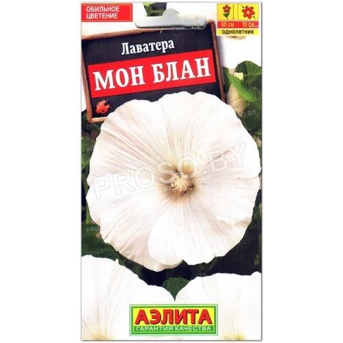Лаватера Мон блан