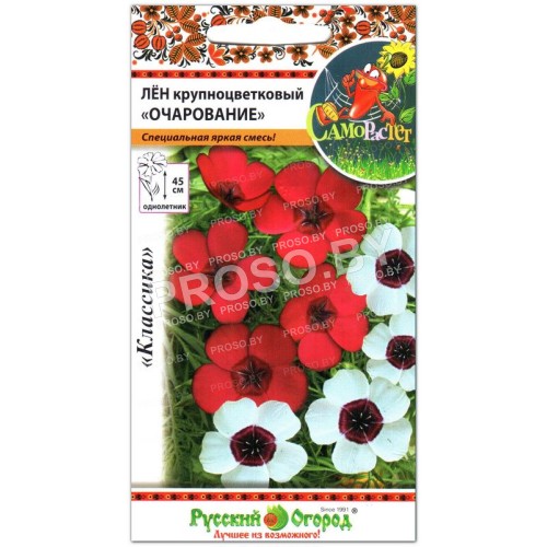 Лен крупноцветковый Очарование, смесь