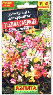 Львиный зев Текила санрайз, смесь