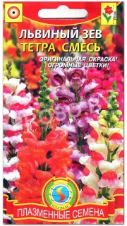 Львиный зев Тетра, смесь