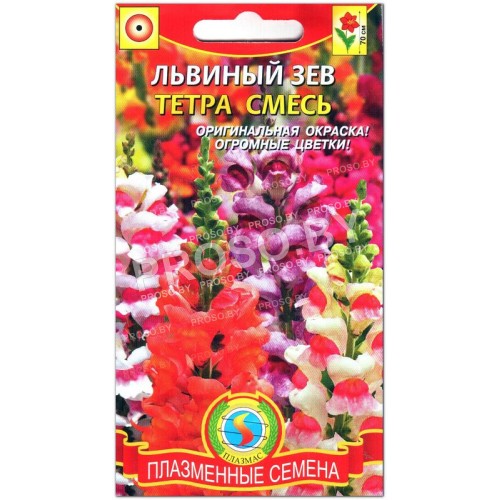 Львиный зев Тетра, смесь