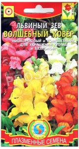 Львиный зев Волшебный ковер, смесь