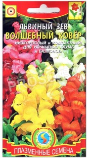 Львиный зев Волшебный ковер, смесь