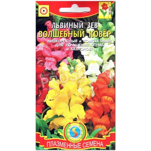 Львиный зев Волшебный ковер, смесь