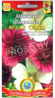Малопа Яркая смесь