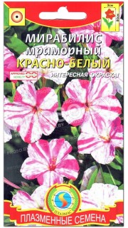 Мирабилис мраморный Красно-белый
