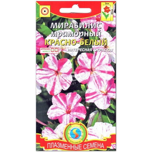 Мирабилис мраморный Красно-белый