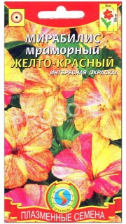 Мирабилис мраморный Желто-красный