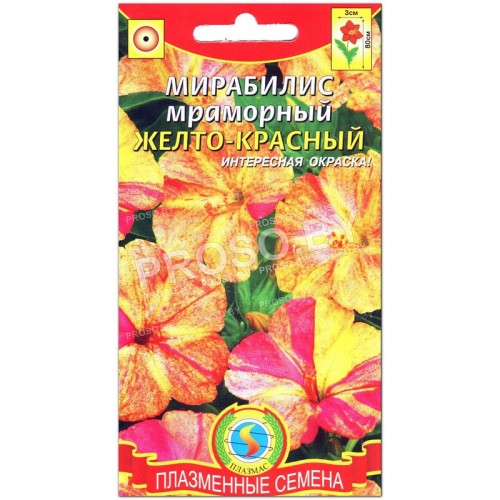 Мирабилис мраморный Желто-красный