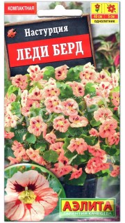 Настурция Леди берд