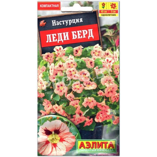Настурция Леди берд