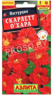 Настурция Скарлет Охара