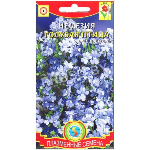 Немезия Голубая птица