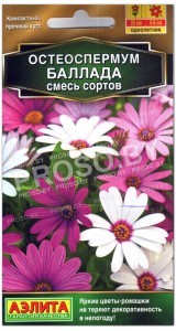 Остеоспермум Баллада, смесь