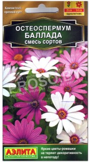 Остеоспермум Баллада, смесь