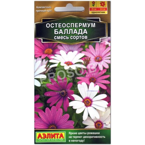 Остеоспермум Баллада, смесь